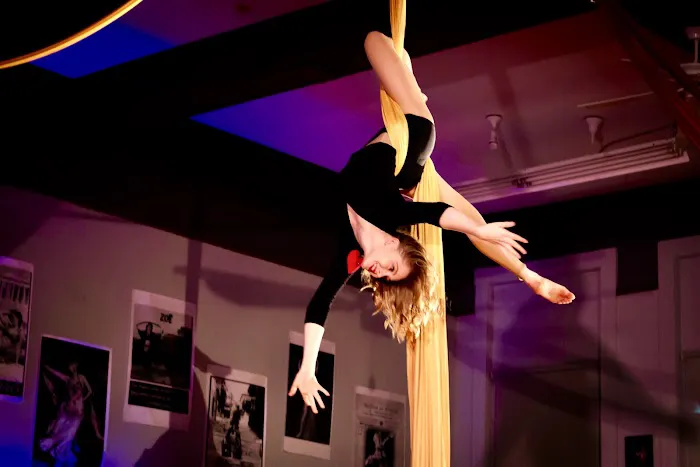Moody Street Circus Picture 3