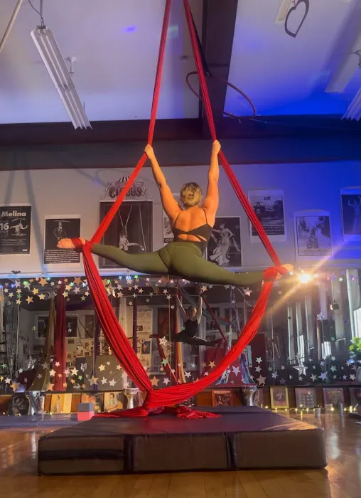 Moody Street Circus Picture 5
