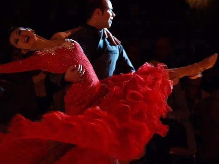 Dancesport Academy New England Picture 9