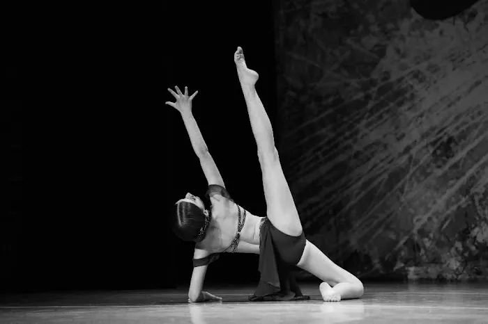 Let's Dance, Inc Picture 4