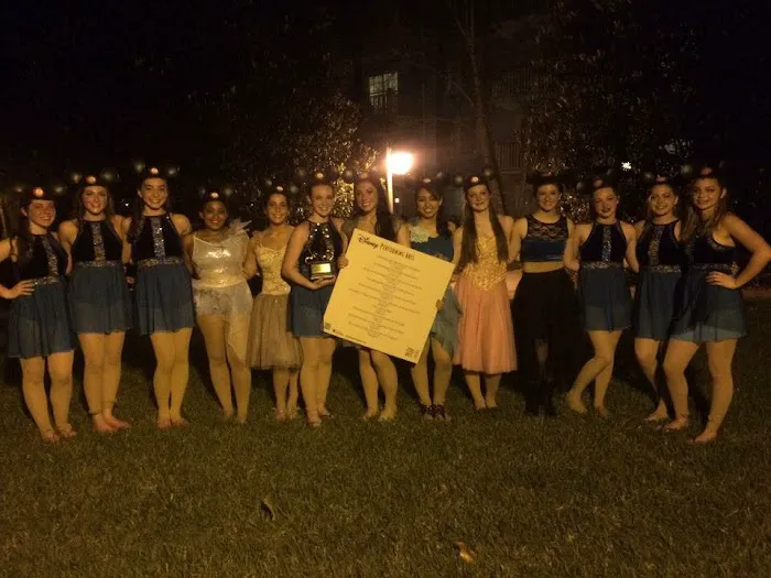 The Dance Studio Picture 6