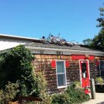 Whidden School of Fitness