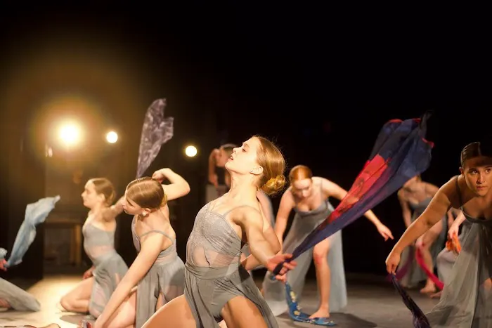 Polaris Dance Institute Picture 4