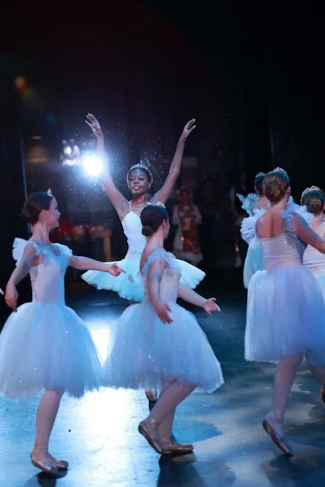 Academy of Ballet Ltd Picture 7