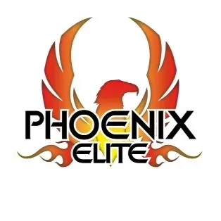Phoenix Elite Cheer Picture 6
