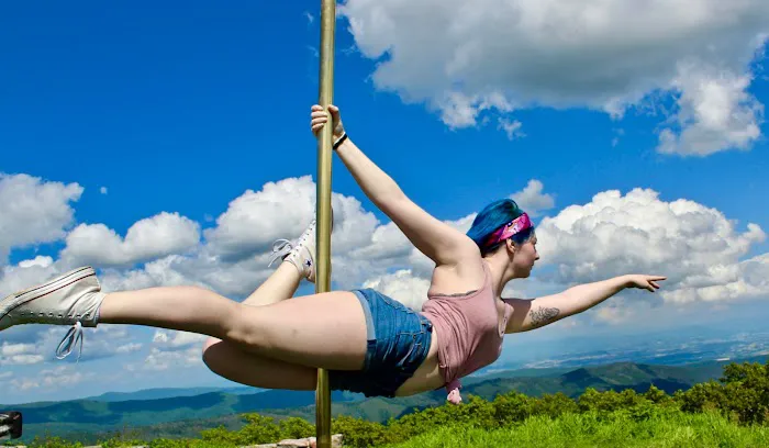 Pink Ambition Pole Fitness Picture 6
