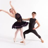 Valley Dance Theatre ico