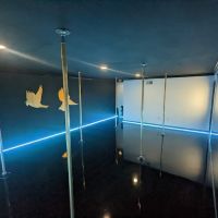 Two Sparrows Aerial Dance Co. ico