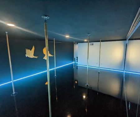 Two Sparrows Aerial Dance Co.