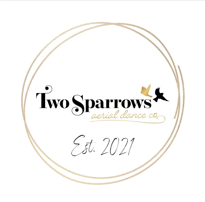 Two Sparrows Aerial Dance Co. Picture 5