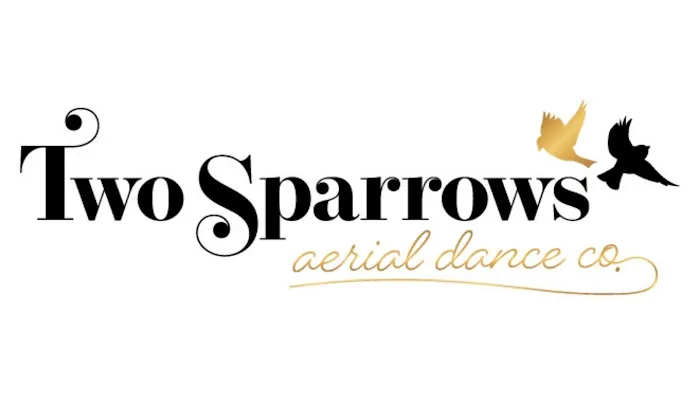 Two Sparrows Aerial Dance Co. Picture 6