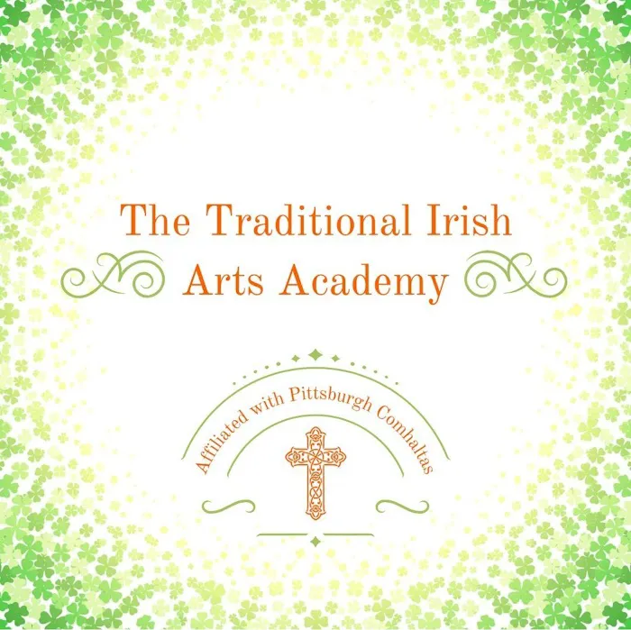Traditional Irish Arts Academy Picture 1