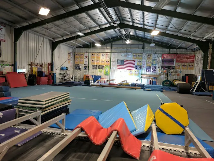 Carol Leone Dance, Gymnastics and Child Care Picture 3