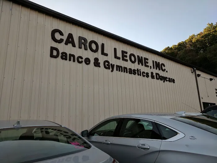 Carol Leone Dance, Gymnastics and Child Care Picture 4