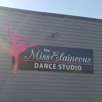 The MissElaineous Dance Studio ico