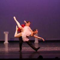Ruth's Dance & Fitness Co., LLC ico