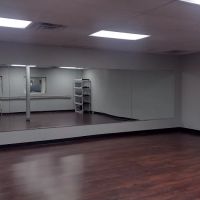 Ruth's Dance and Fitness Co. ico