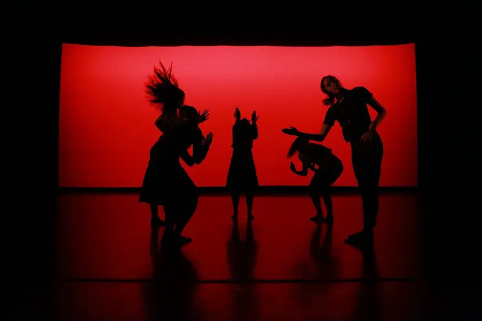 Dance Conservatory of Pittsburgh Picture 5