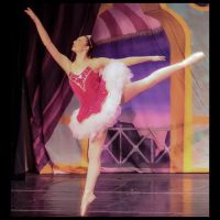 Carnegie Performing Arts Center ico