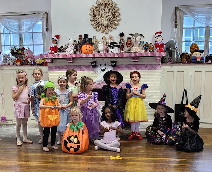 Festival School Of Ballet Picture 4