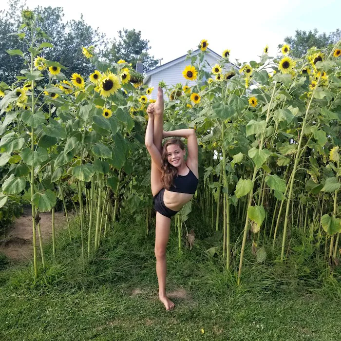 LAW Dance Studio Picture 9