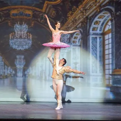 Northeastern Ballet Theatre Picture 8