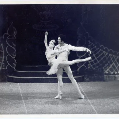 Northeastern Ballet Theatre Picture 9