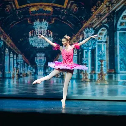 Northeastern Ballet Theatre Picture 7