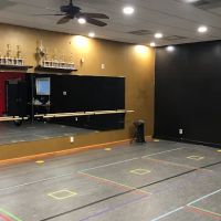 Academy of Dance ico