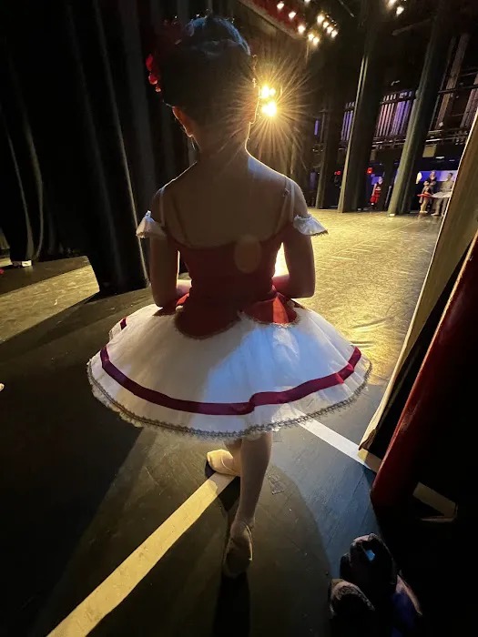Russian Ballet Academy, LLC Picture 2