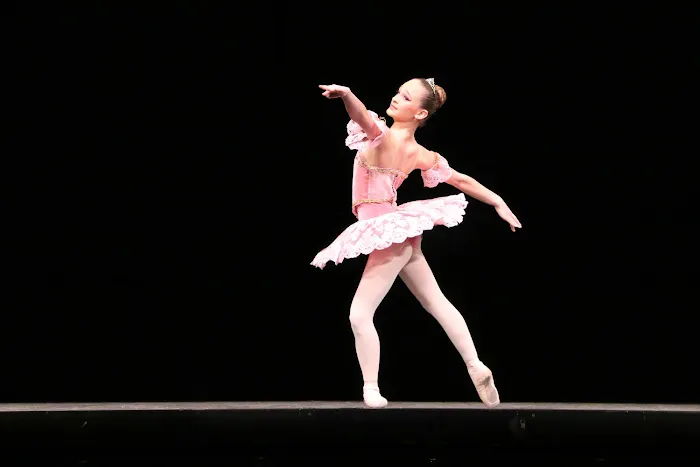 Russian Ballet Academy, LLC Picture 6