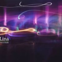 Salsalina Dance Studio ico