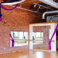 Murmurations Aerial Dance ico