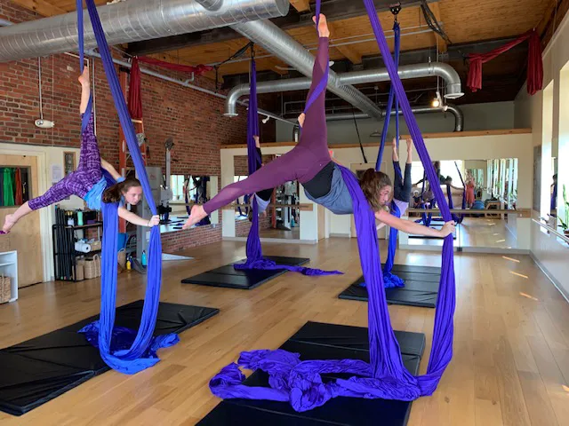 Murmurations Aerial Dance Picture 6