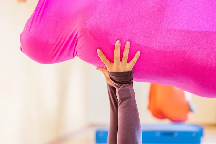 Heart Song Aerial Healing Arts Picture 3