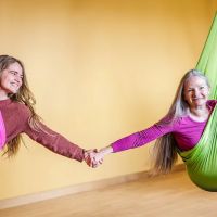 Heart Song Aerial Healing Arts ico