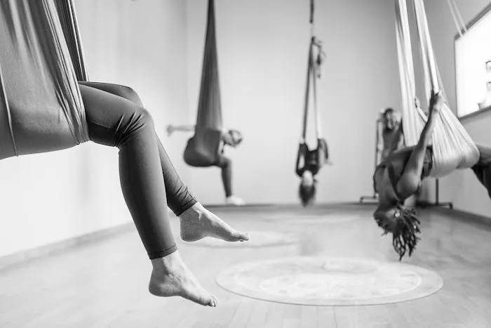 Heart Song Aerial Healing Arts Picture 4