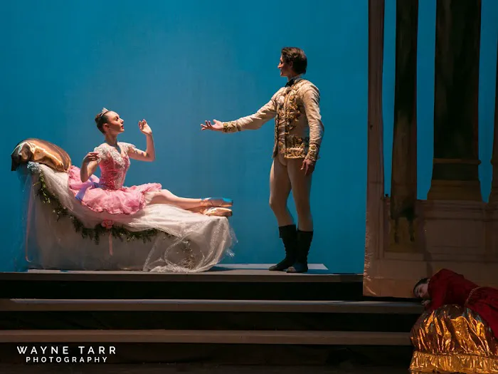 The Ballet School of Vermont Picture 4