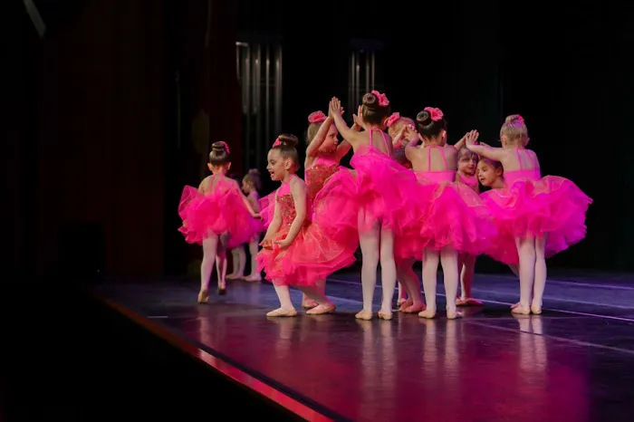 North Shore Dance Academy Picture 3