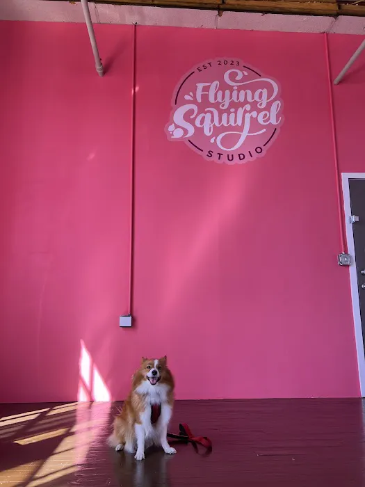Flying Squirrel Studio Picture 3