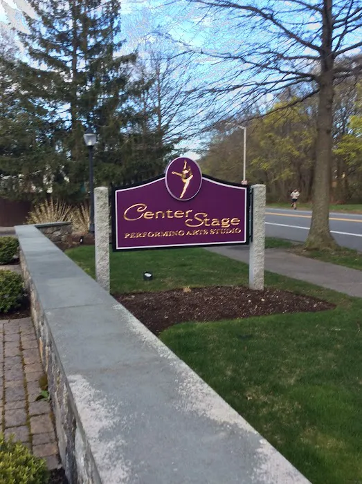Center Stage Performing Arts Studio Picture 7
