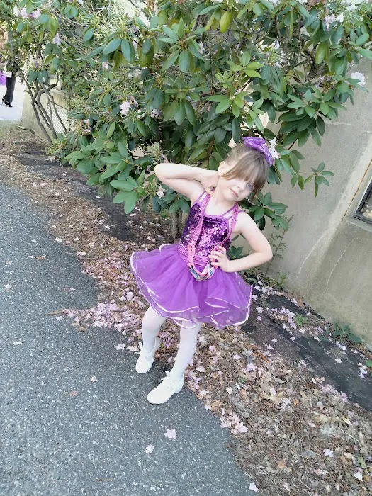 Lisa's Dance Studio Picture 5