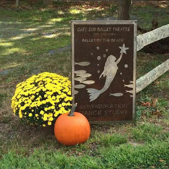 Cape Cod Ballet Theatre for Children Picture 7