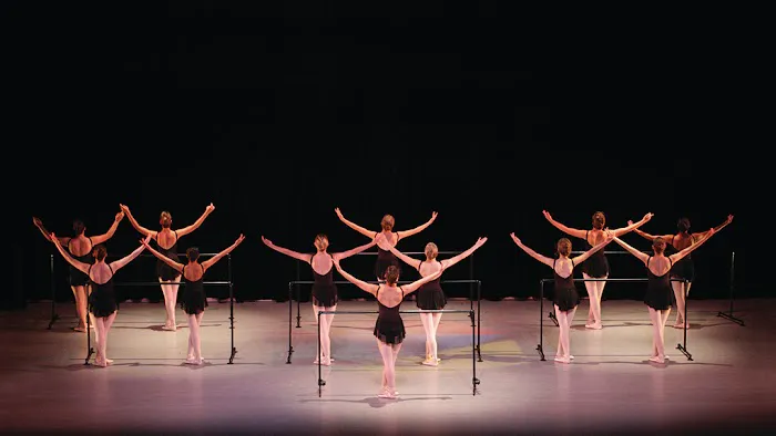 Albemarle Ballet Theatre Picture 3