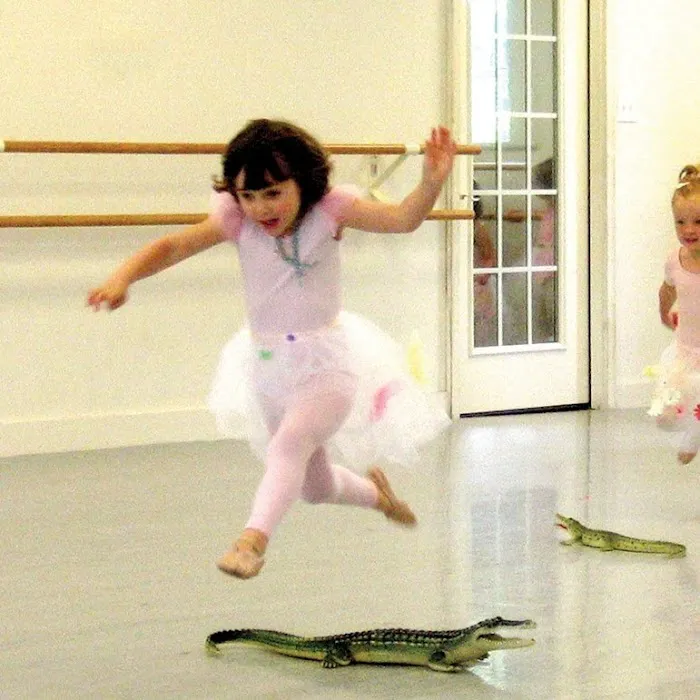 Albemarle Ballet Theatre Picture 5