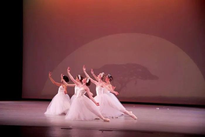 Albemarle Ballet Theatre Picture 7