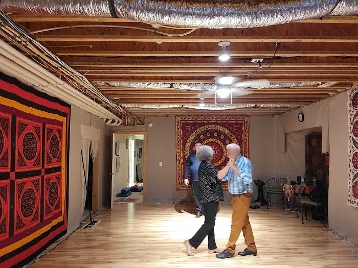 iBallroom Dancer Picture 7