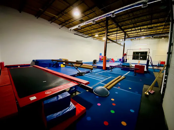 Gryphon Gymnastics Picture 1