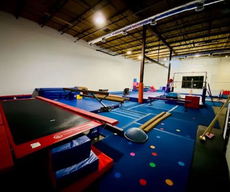 Gryphon Gymnastics