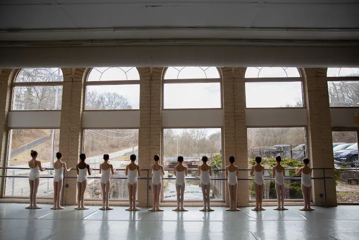 Texture Ballet School Picture 1